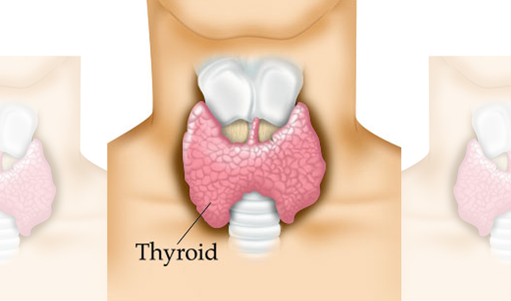 11 Foods that May Harm Your Thyroid Health