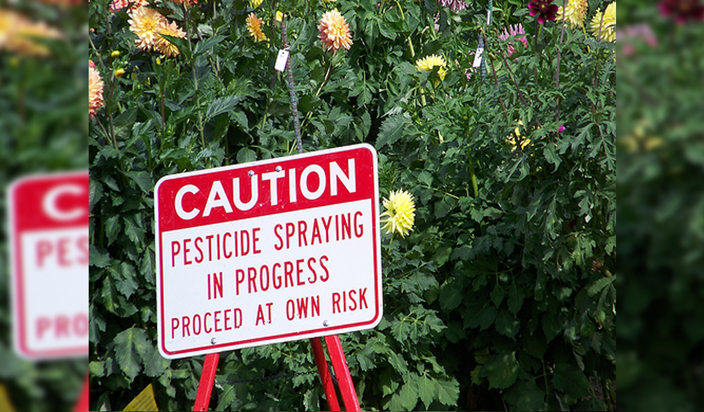 Low-level Exposure to Pesticides Increases Risk of Developing Parkinson’s Disease