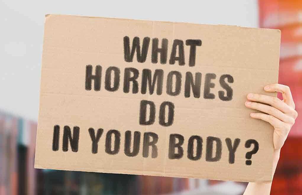 10 Types of Hormones and Their Functions